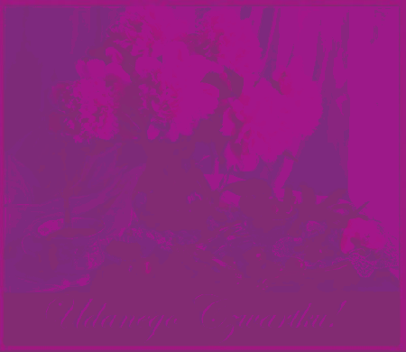 Fioletowe kwiaty udanego czwartku